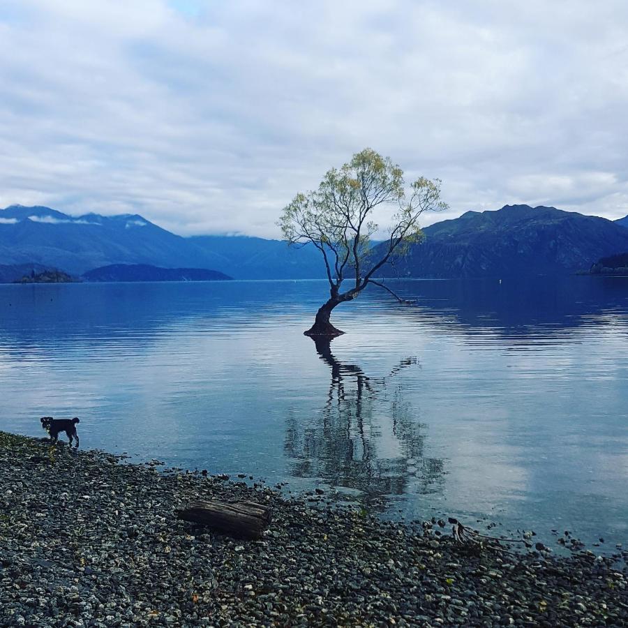 Alto On Hedditch Wanaka Eksteriør bilde